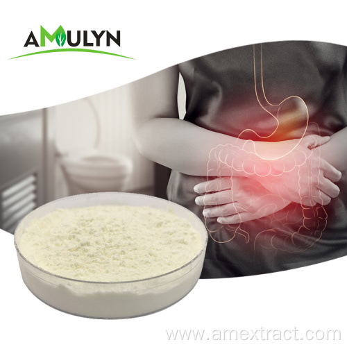 Food Grade Lactobacillus Rhamnosus Probiotics Powder